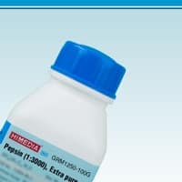 Pepsin (1:3000), Extra pure 100 g HiMEDIA GRM1250