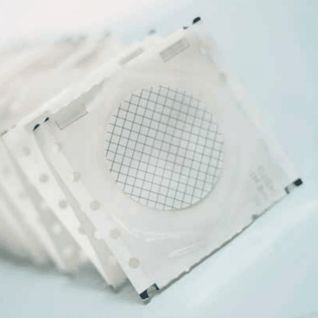 Membrana de Filtración de Mezcla de Esteres de Celulosa (MCE) blanca, lisa, estéril, con cuadricula Ø: 47 mm poro: 0.20µm (PQTE x 100 unidades) ADVANTEC A020H047A