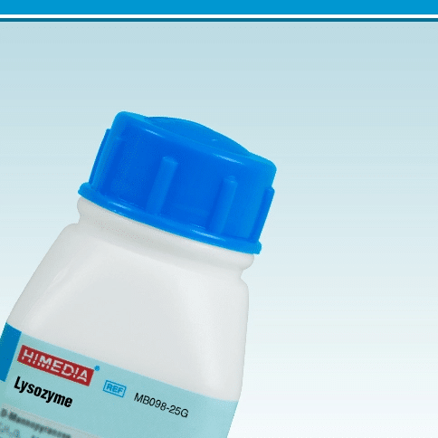 Lisozima (Lysozyme) 25 g HiMEDIA MB098