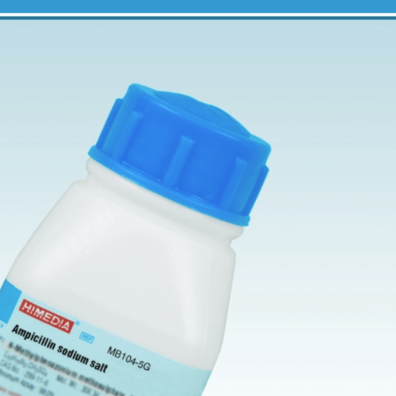Ampicilina Sal Sódica (Ampicillin sodium salt) 5 g HiMEDIA MB104